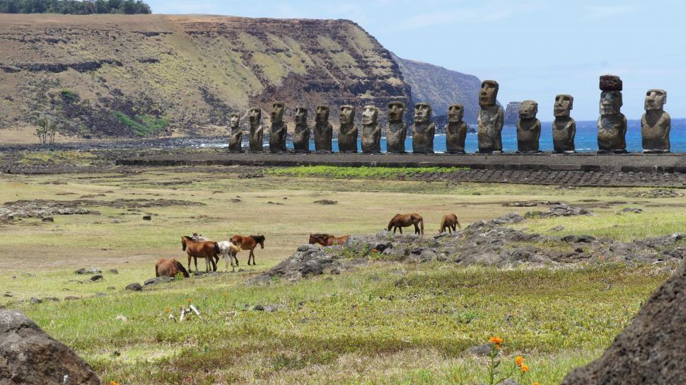 Free Image of Horses By Statues on Easter Island 