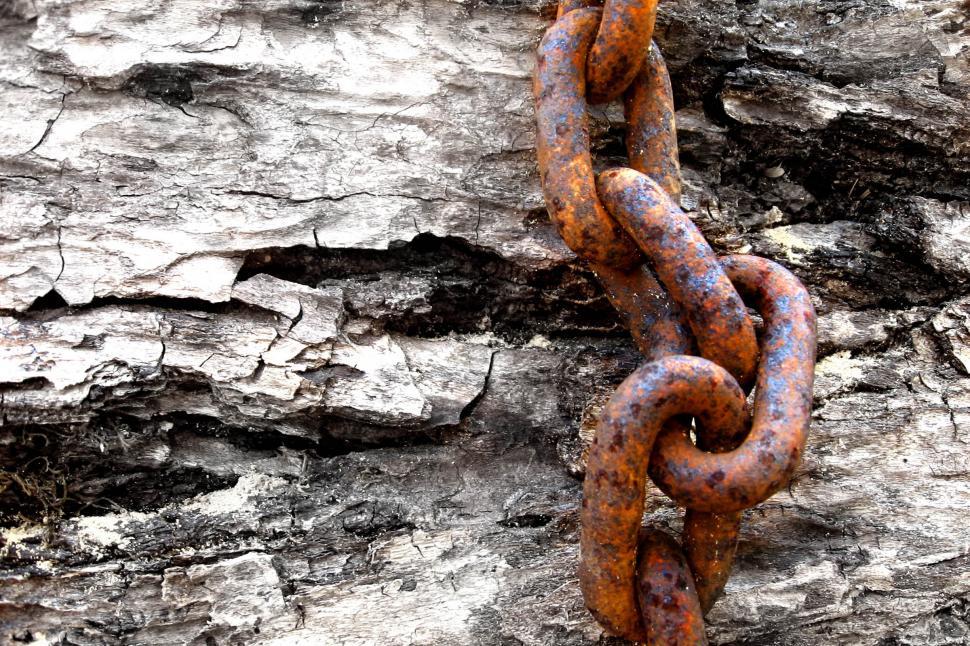 Free Image of Rusted Chain Wrapped Around Tree Trunk 