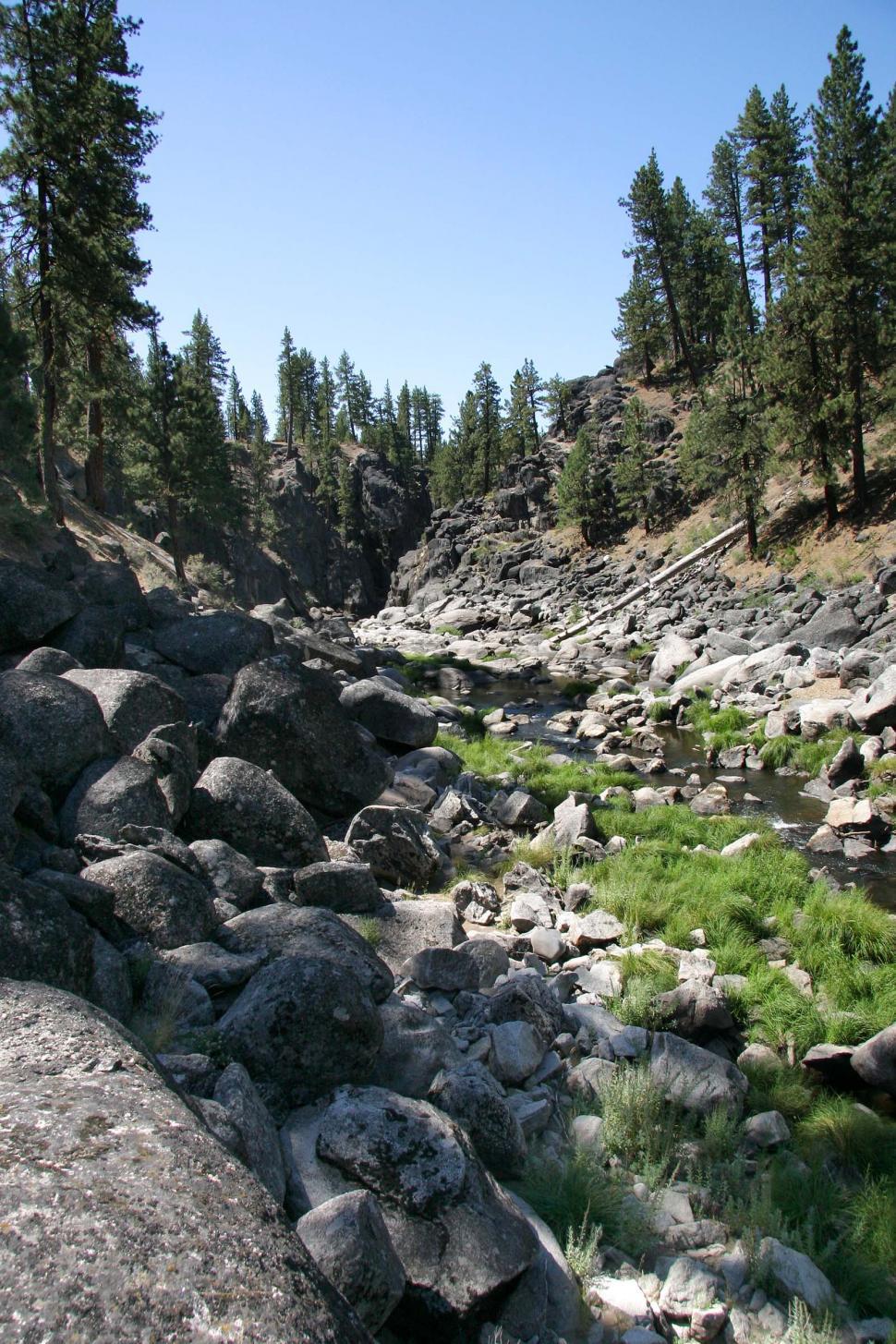 Free Image of river gorge feather california stream rocks rugged trees pine tree water wilderness bed riverbed streambed forest timber woods canyon mountain mountains riparian 
