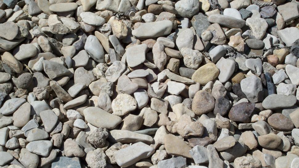 Free Image of Small stones on a rivers shore 