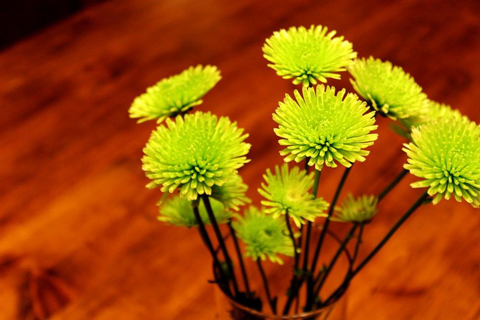 Free Image of Green Flowers in Vase 