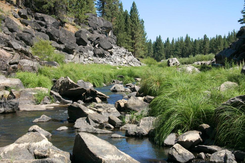 Free Image of river gorge feather california stream rocks rugged trees pine tree water wilderness bed riverbed streambed forest woods 