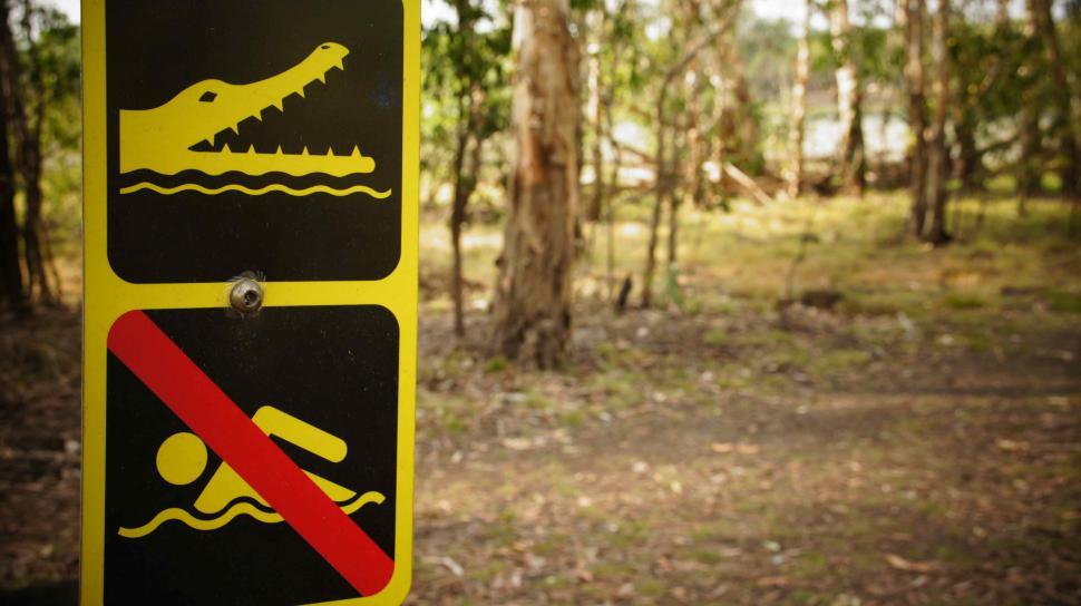 Free Image of Alligators Present: Do Not Swim! 