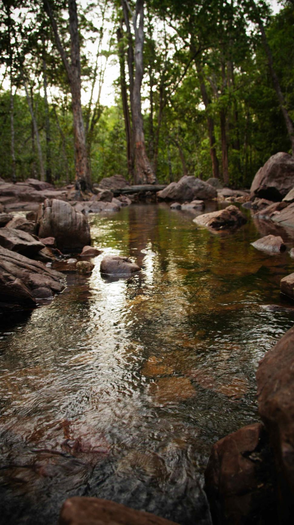 Free Image of Ripples Through a Creek 