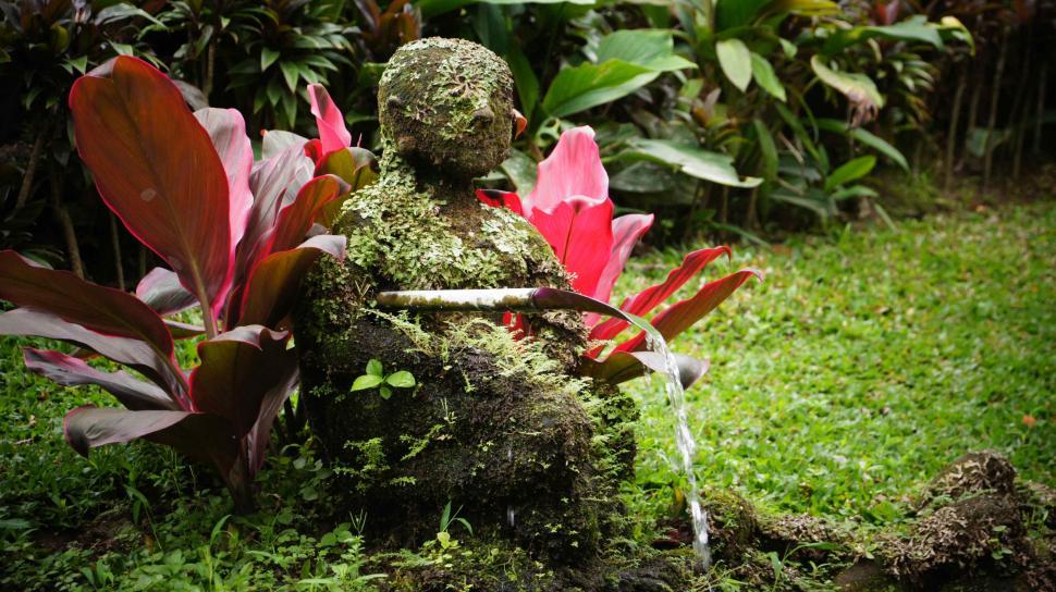 Free Image of Statue and Flower of Bali 