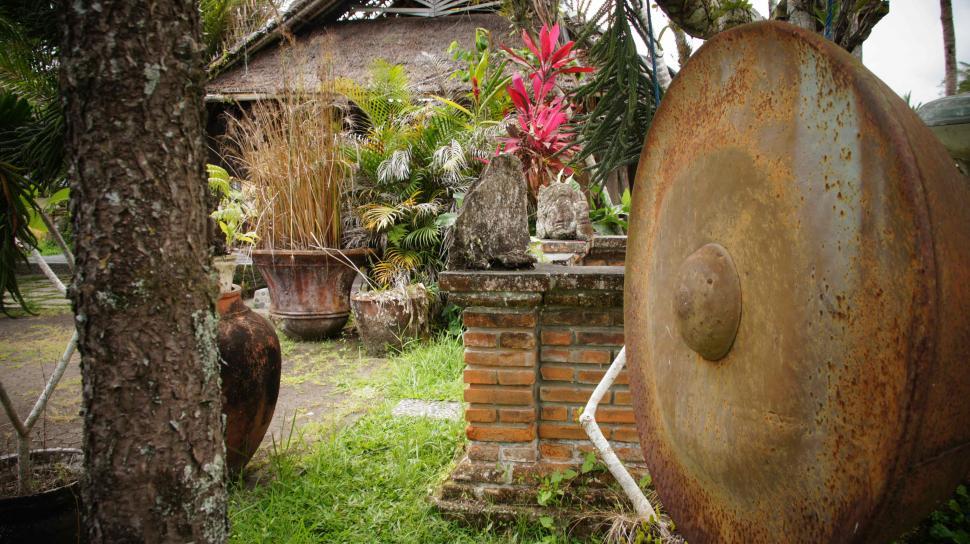 Free Image of Backyard in Bali 