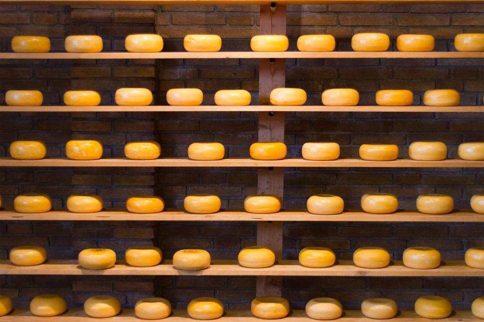 Free Image of Cheese 