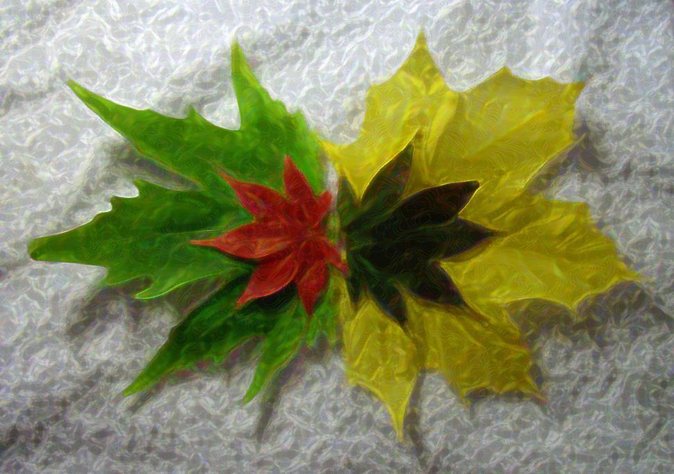 Free Image of Two Paper Flowers Close Up on Table 
