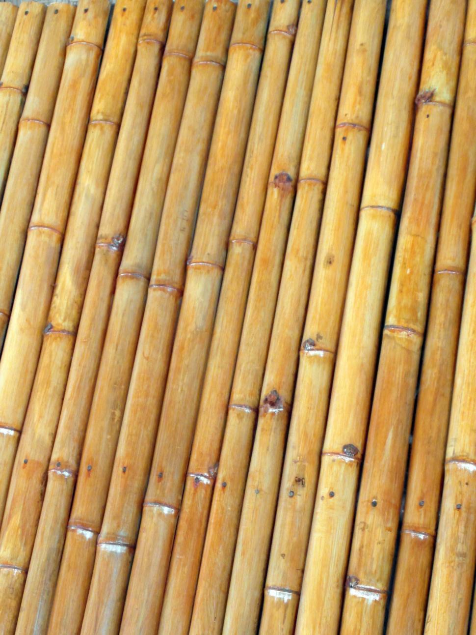 Free Image of Isolated Bamboo Background 