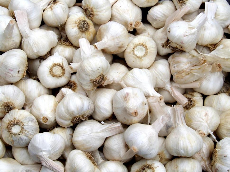 Free Image of Garlic 