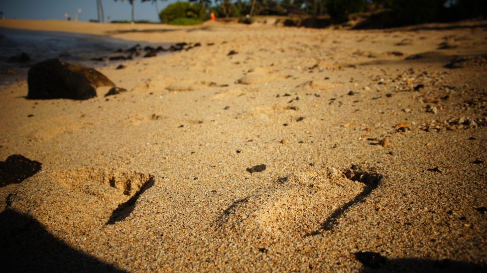 Free Image of Footprints in the Sand 
