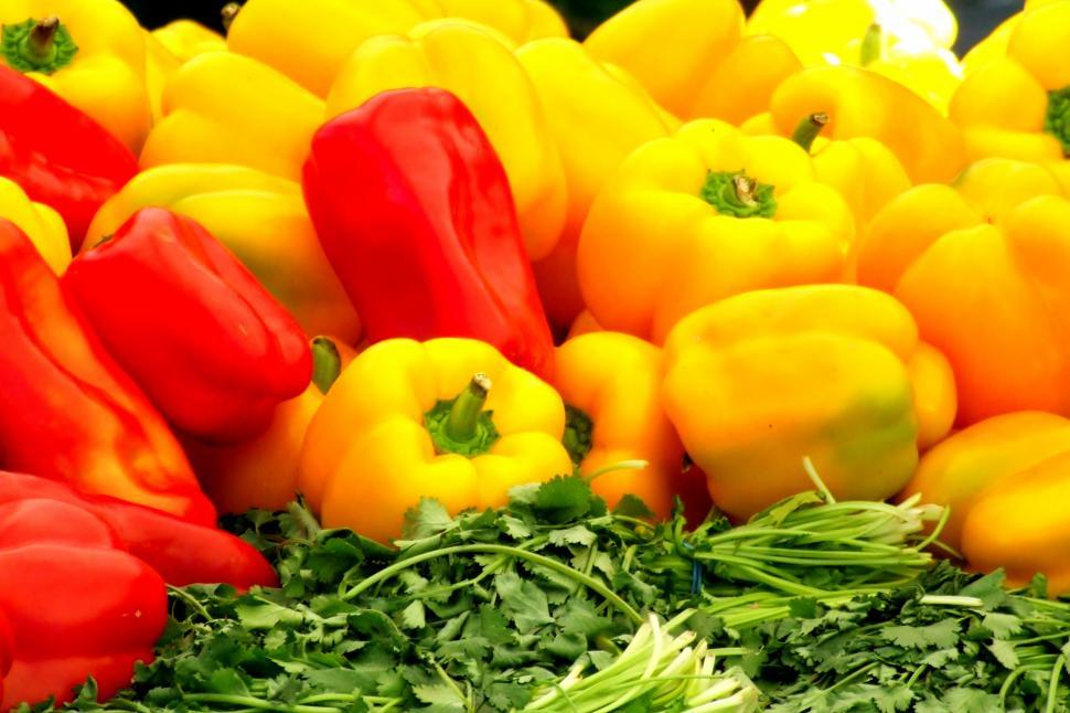 Free Image of Bright Bell Peppers 