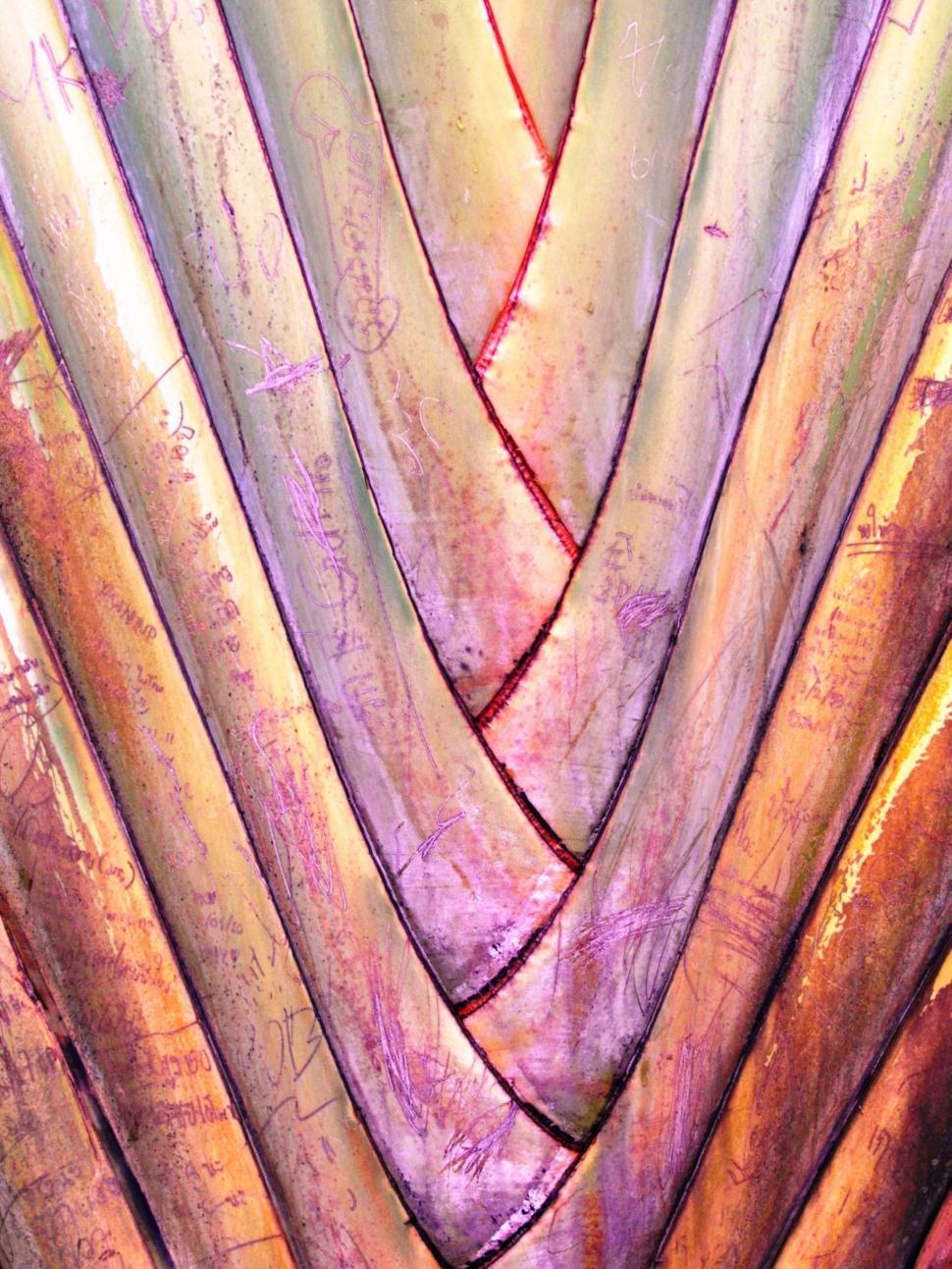 Free Image of Pattern from leaves of a Travellers palm 