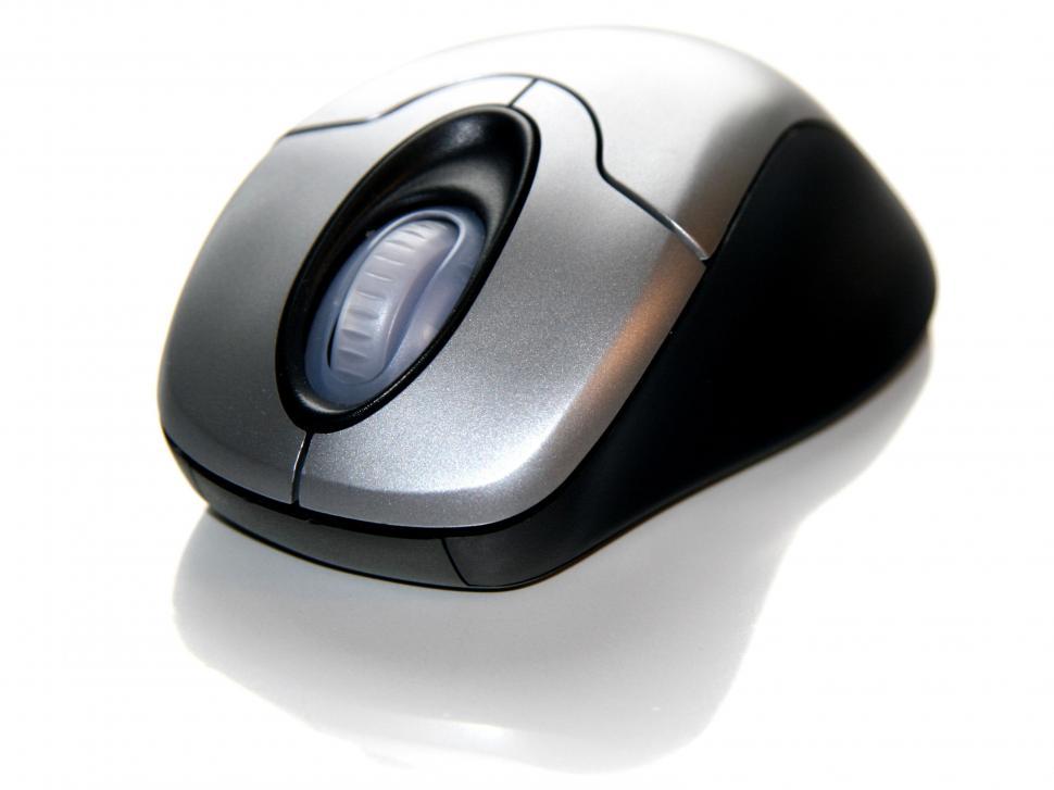 Free Image of Mouse on White 
