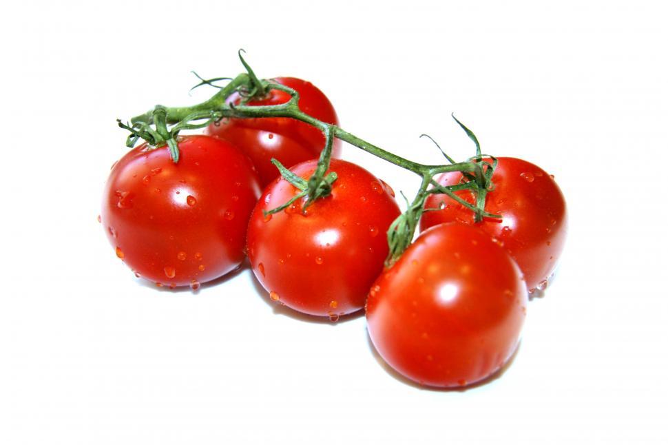 Free Image of Tomatoes 
