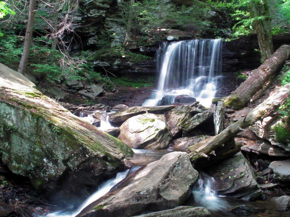 Free Image of Waterfall at Ricketts Glen State Park, Pennsylvania 