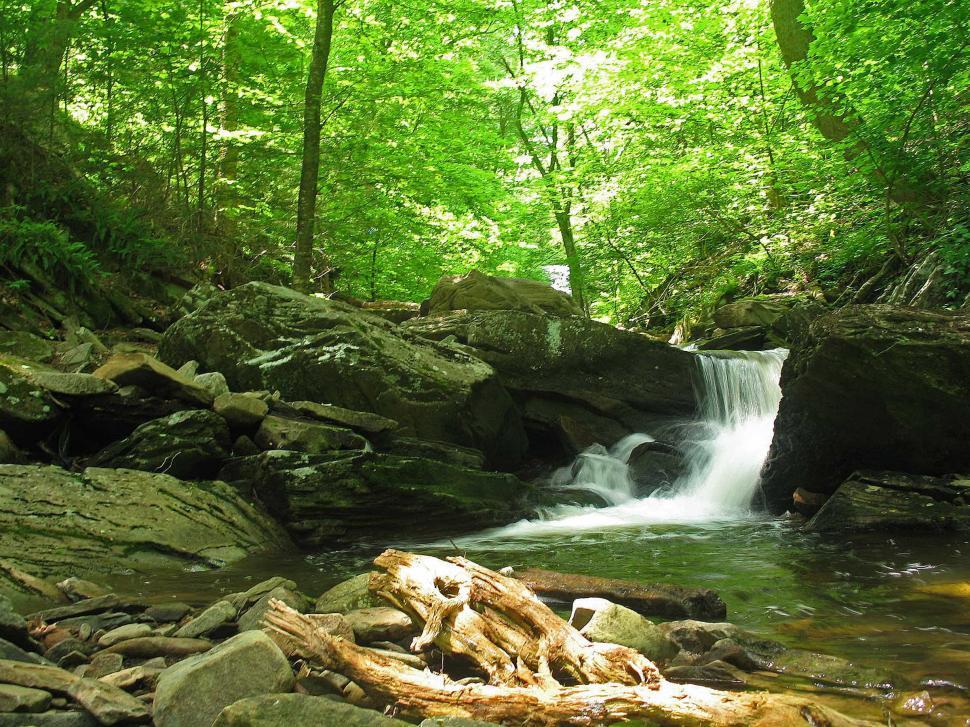 Free Image of Cascades at Ricketts Glen State Park, PA 