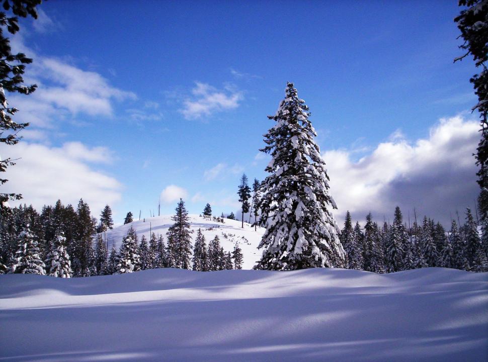 Free Image of Idaho Winter 
