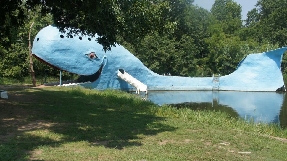 Free Image of Whale Water Slide 