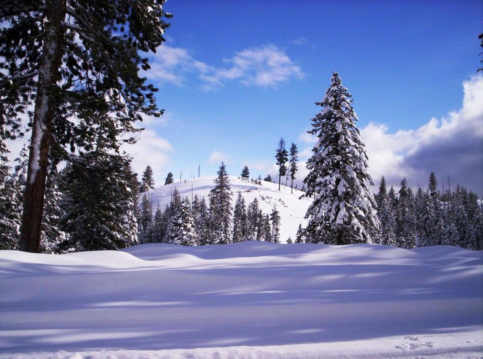 Download Free Stock Photo of Winter in Idaho 