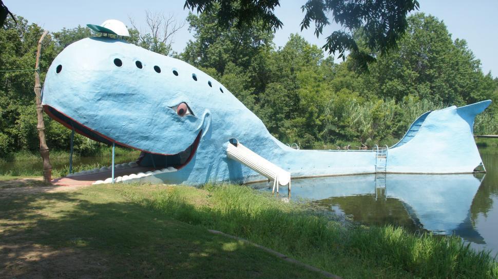 Free Image of Whale Water Slide 
