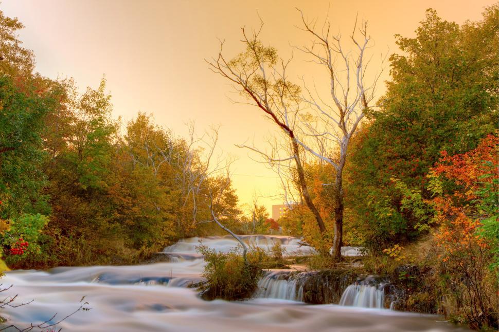 Free Image of Autumn River 