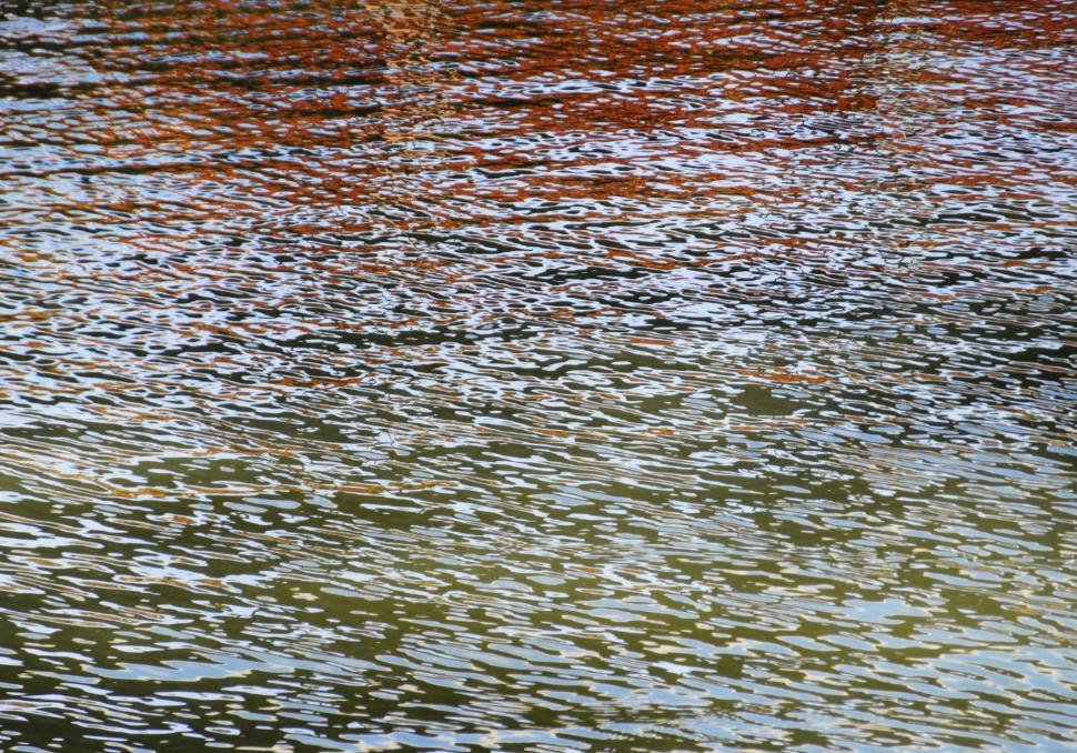 Free Image of Water Ripples Background 