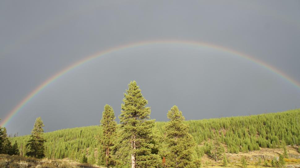 Free Image of Rainbow in Yellowstone 
