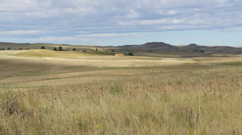 Free Image of Rolling Hills 