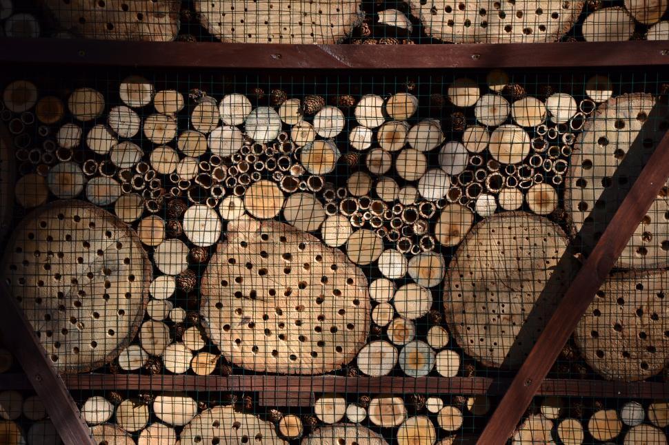 Free Image of Insect house 