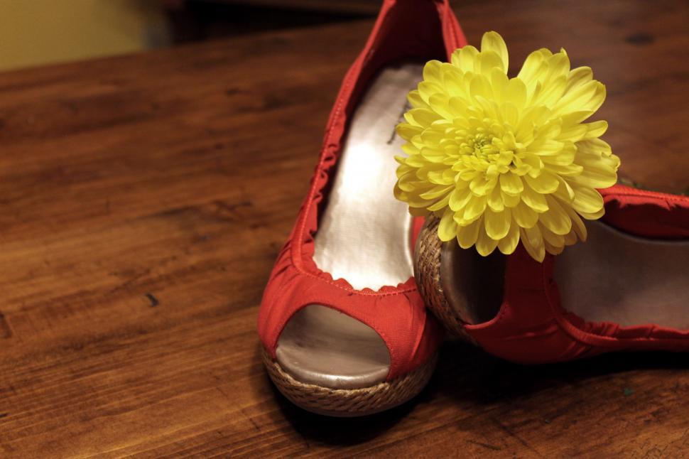 Free Image of High Heels with a Flower 