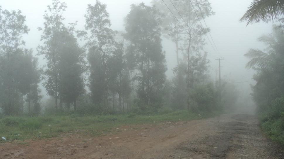 Free Image of Waynad in Fog 