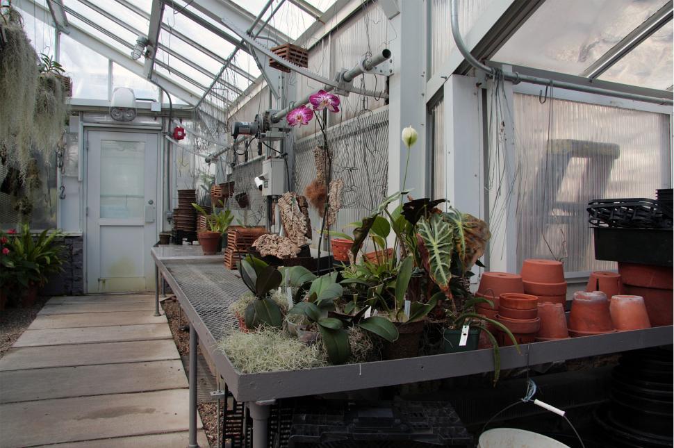 Free Image of Greenhouse Repotting Area 