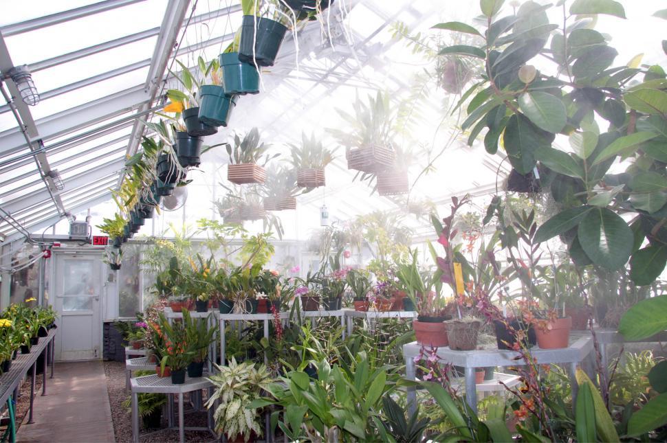 Free Image of Misting in Orchid Greenhouse 
