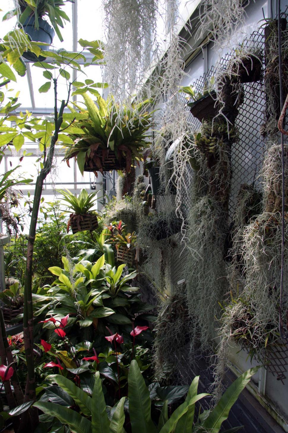 Free Image of Greenhouse for Orchids 