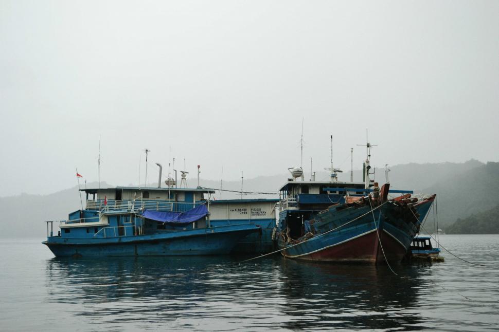 Free Image of Boats at the harbor 
