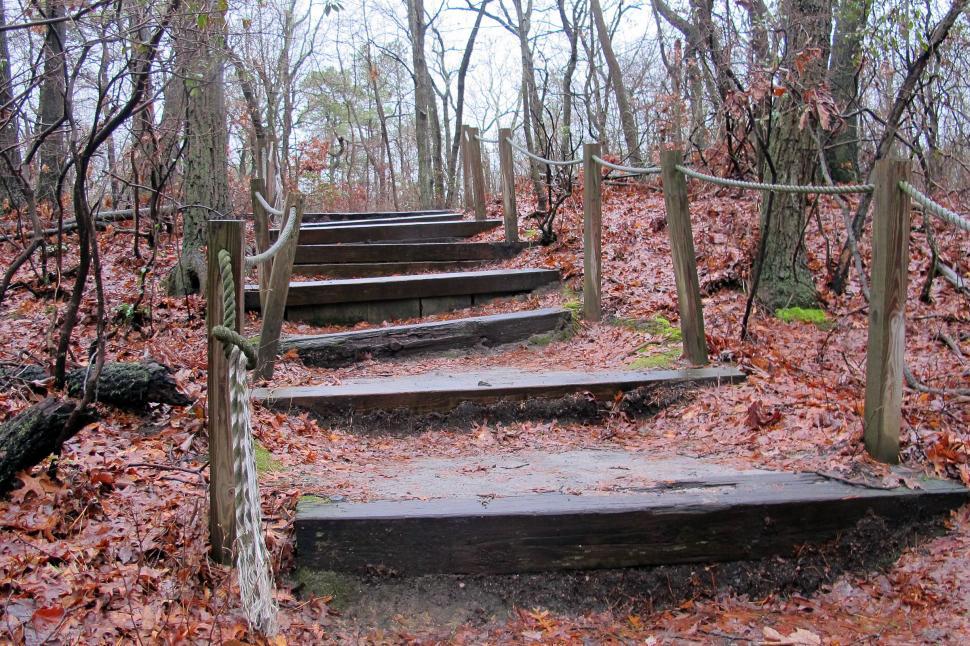 Free Image of Log Steps With Rope Handrails 