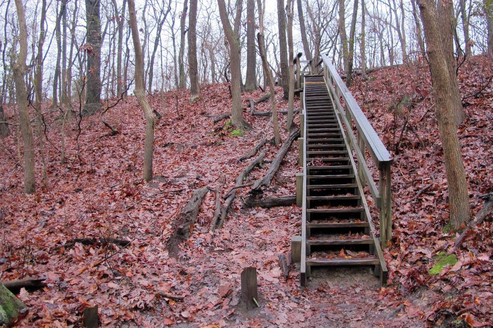 Free Image of Slippery Wooden Steps  