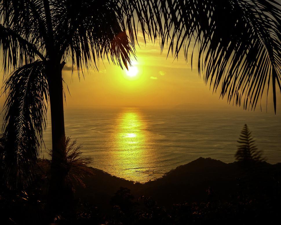 Free Image of Tropical sunset  