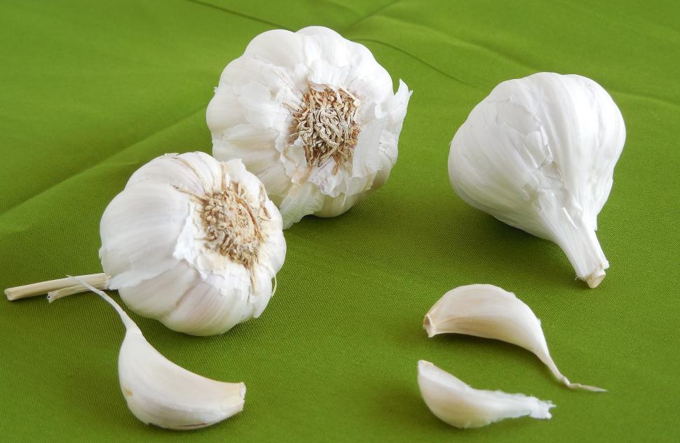Free Image of Garlic 