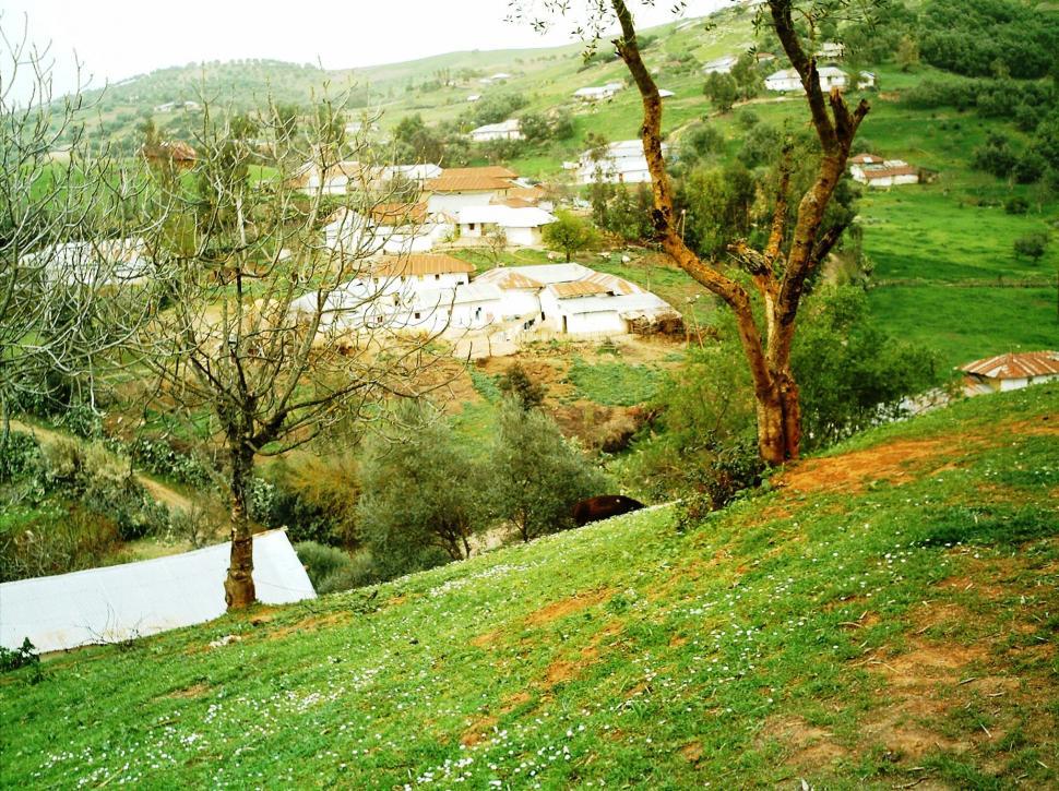 Free Image of Countryside in Green 