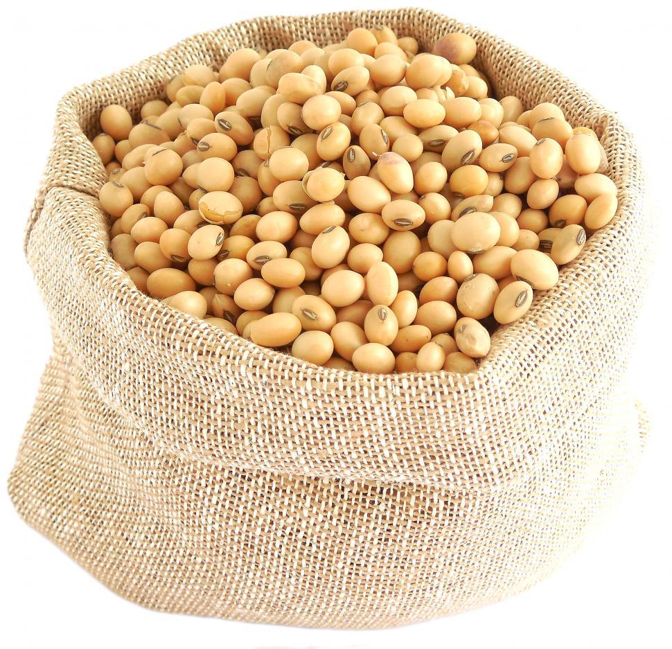 Free Image of Soy 
