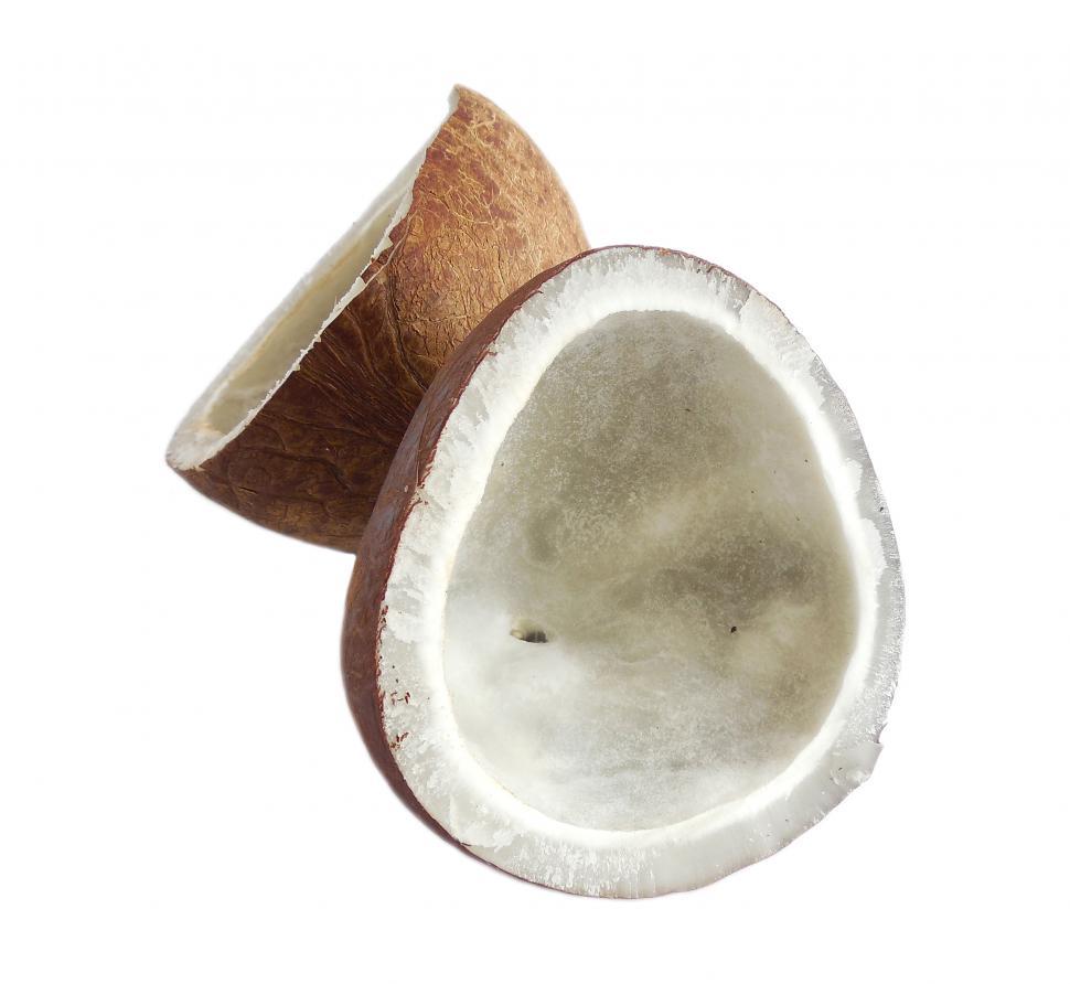 Free Image of Dry Coconut 
