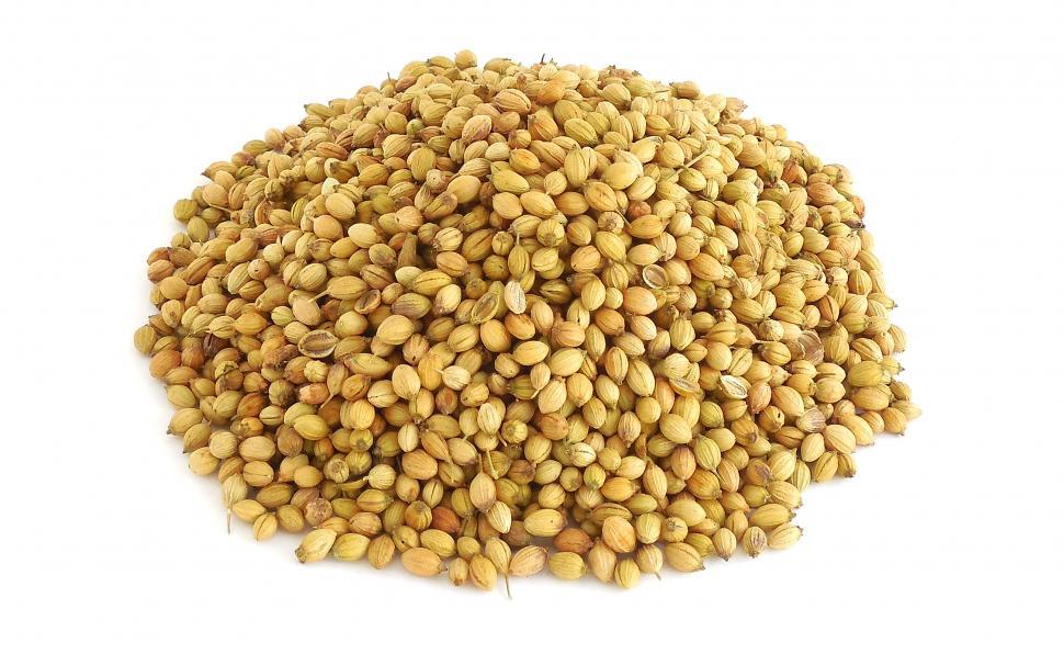 Download Free Stock Photo of Coriander Seeds 