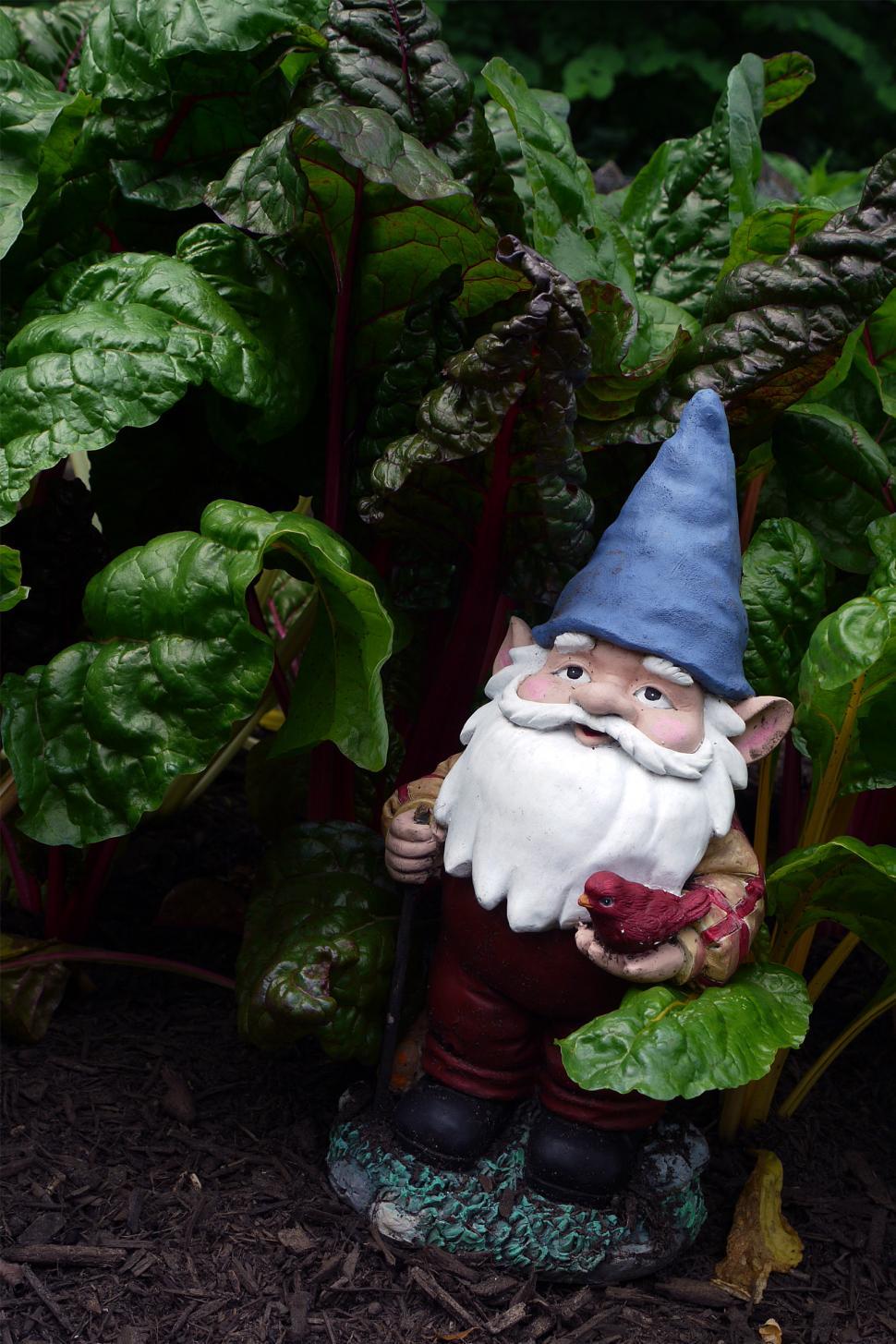 Download Free Stock Photo of Gnome In A Garden 