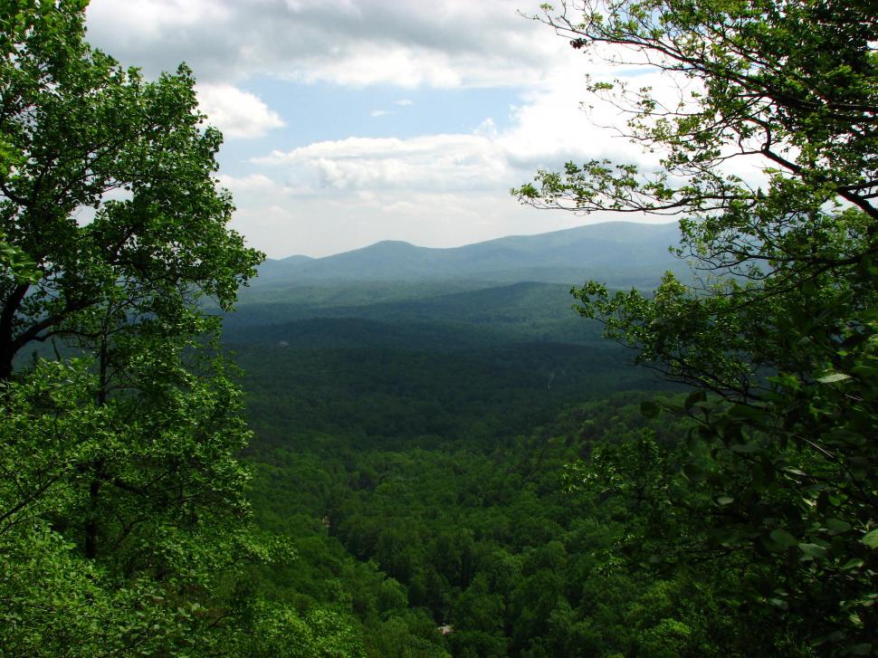 Free Image of A mountain landscape viewed through trees 
