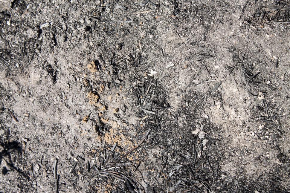 Free Image of Ashes to Ground 