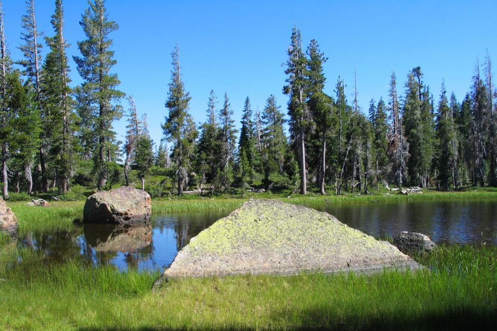 Free Image of Lake Surrounded by Trees and Rocks 