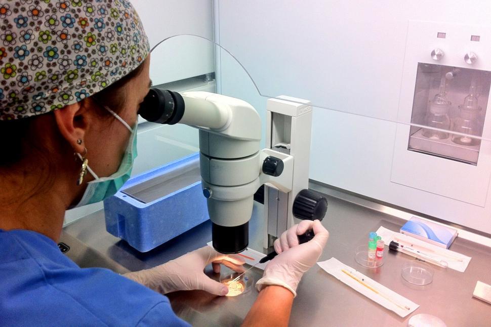 Free Image of Doctor - embryologist - performing IVF in the lab 