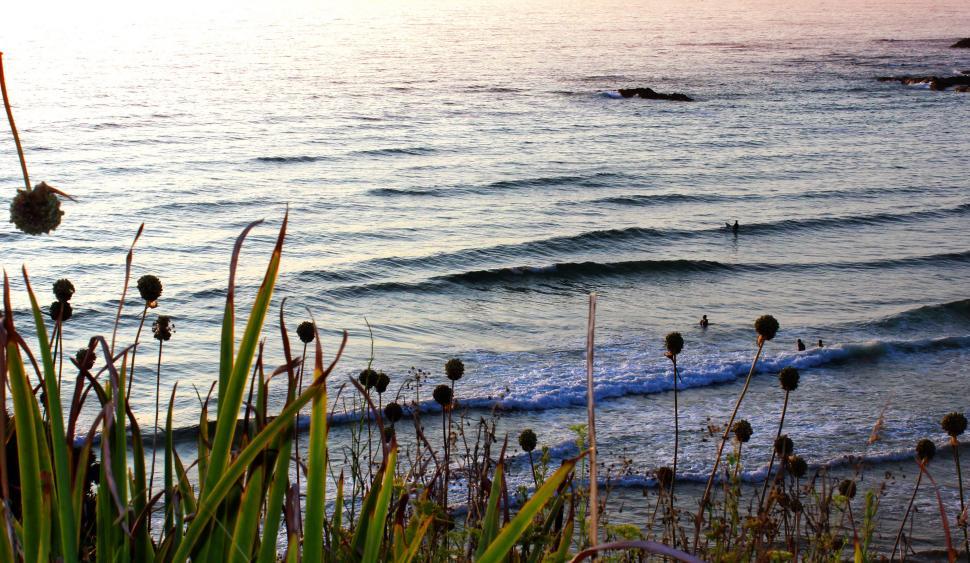 Free Image of Swimmers in the distance at sunset in Odeceixe Beach, southern P 